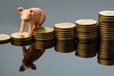 pig on stack of coins clipart