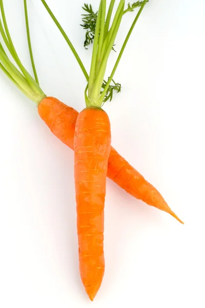 Fresh carrots — Stock Photo, Image