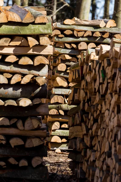 Vice-cut tree trunks — Stock Photo, Image