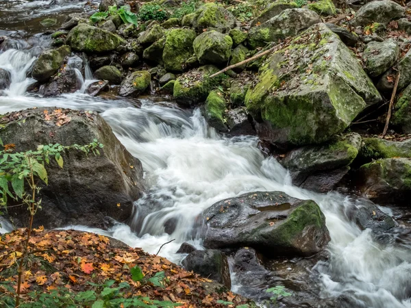 Creek with running water — Stock fotografie