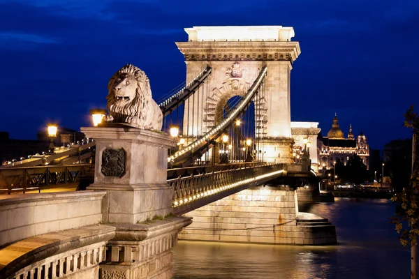 Hungria, Budapeste, ponte de cadeia . — Fotografia de Stock