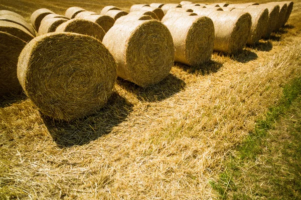 Bales of straw and grain in a field — Stock Photo, Image