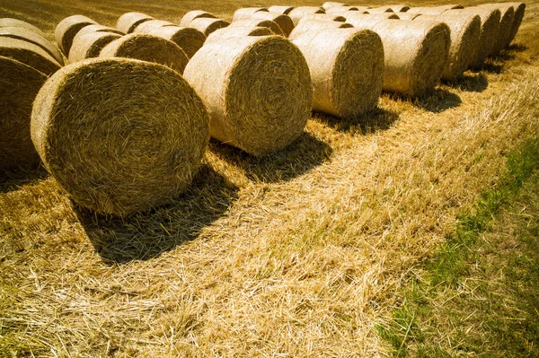 Balles de paille et de grain dans un champ — Photo