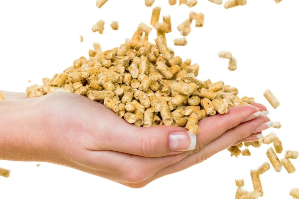 Hand with pellets as an old natie energy — Stock Photo, Image