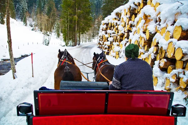 冬の馬車に乗る — ストック写真