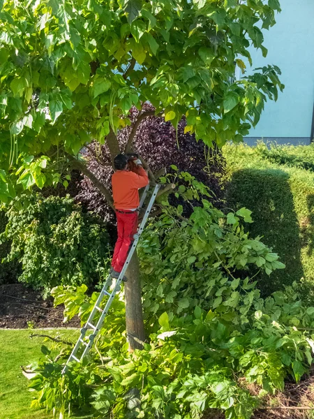 Jardinero en el trabajo — Foto de Stock