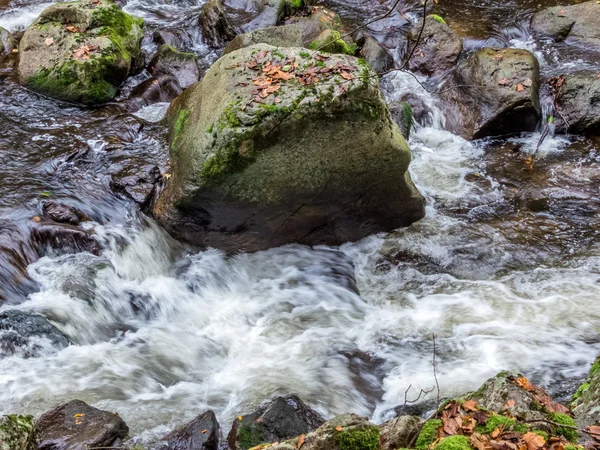 Creek with running water — ストック写真