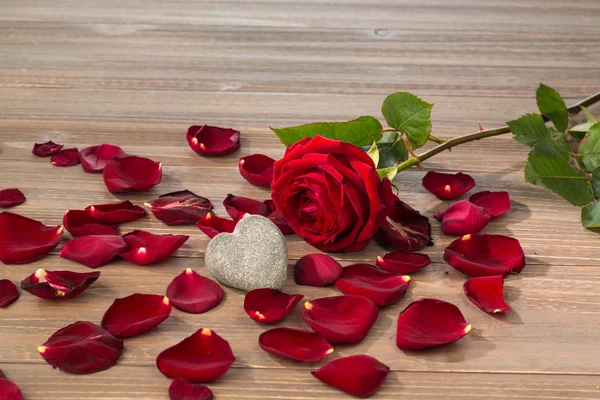 Rosas para el día de San Valentín y el día de las madres —  Fotos de Stock