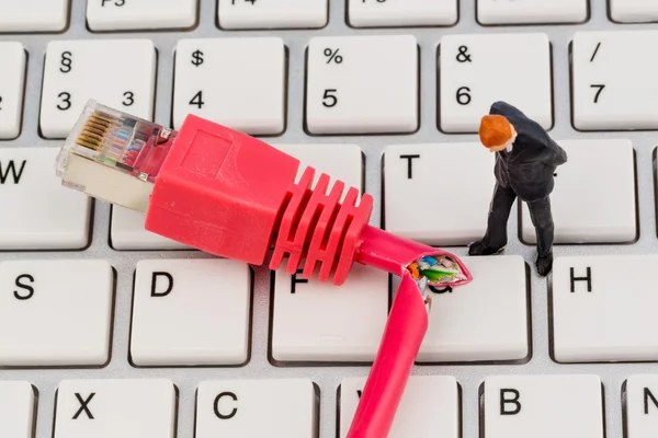 Workers, network connector, keyboard — Stock Photo, Image