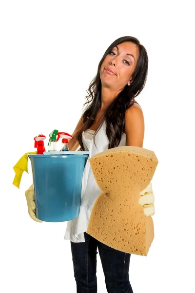 Housewife annoys brush over Stock Picture