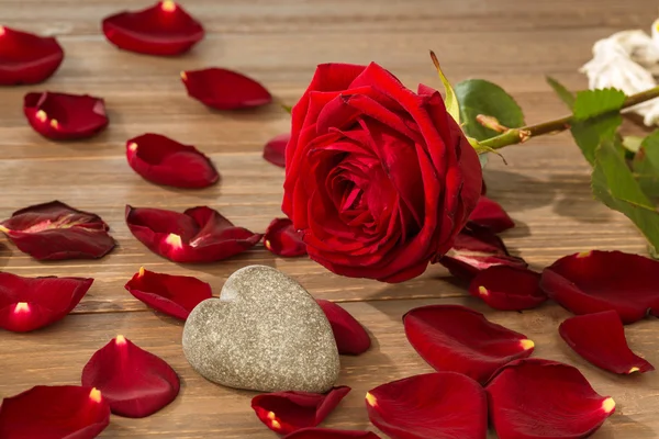 Roses pour la Saint Valentin et la fête des mères — Photo