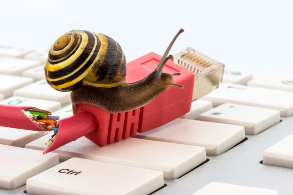 Slow internet access — Stock Photo, Image