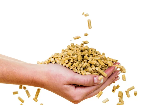 Hand with pellets as an old natie energy — Stock Photo, Image