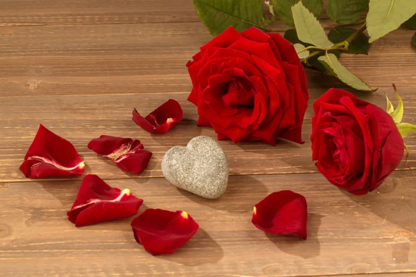 Rosas para el día de San Valentín y el día de las madres —  Fotos de Stock
