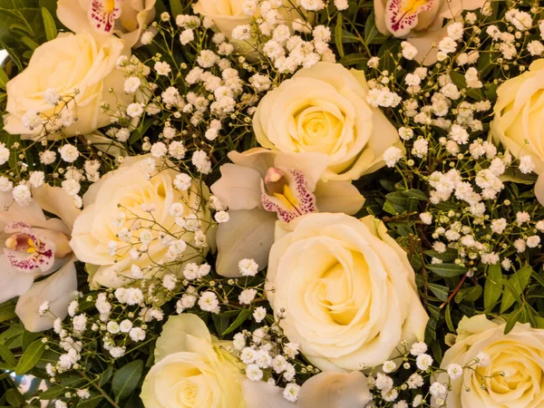 Forskellige afskårne blomster, baggrund - Stock-foto