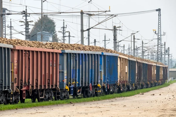 Sugar beet and freight — Stock Photo, Image