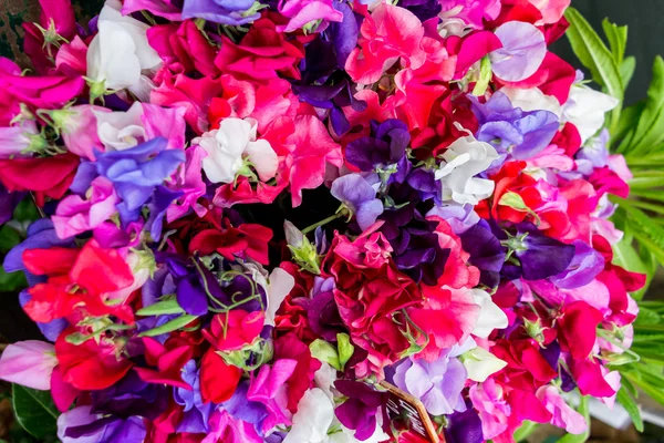 Blommor till salu, — Stockfoto
