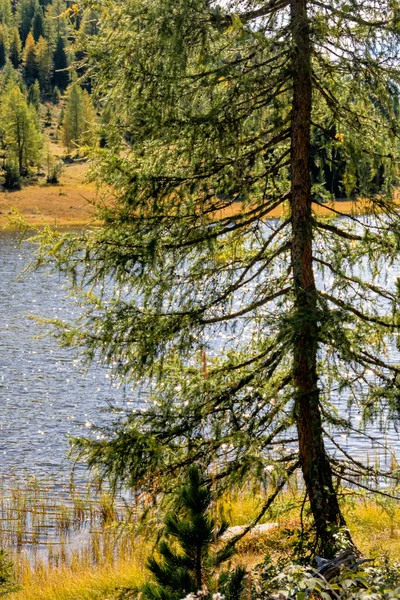 Blick vom Ufer auf das Wasser — Stockfoto