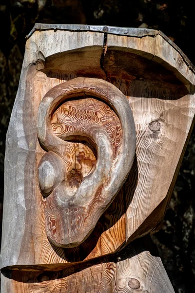 Rzeźba narządy zmysłów pnia drzewa — Zdjęcie stockowe