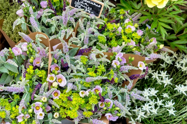 Flores para la venta —  Fotos de Stock