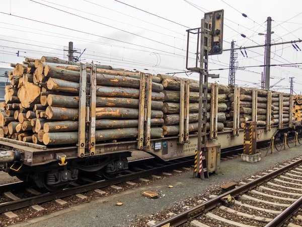 Carro carico di legno — Foto Stock