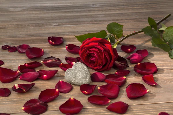 Roses for valentines day and mothers day — Stock Photo, Image