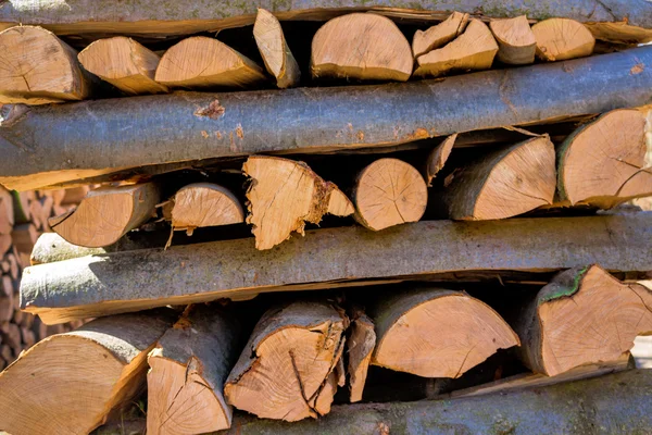 Tronchi d'albero vice-tagliati — Foto Stock