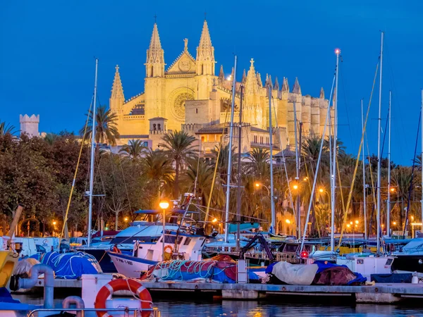 İspanya, mallorca, palma Katedrali'ne — Stok fotoğraf