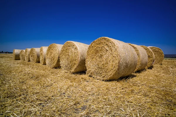 Cereal bales of straw — Stock Photo, Image