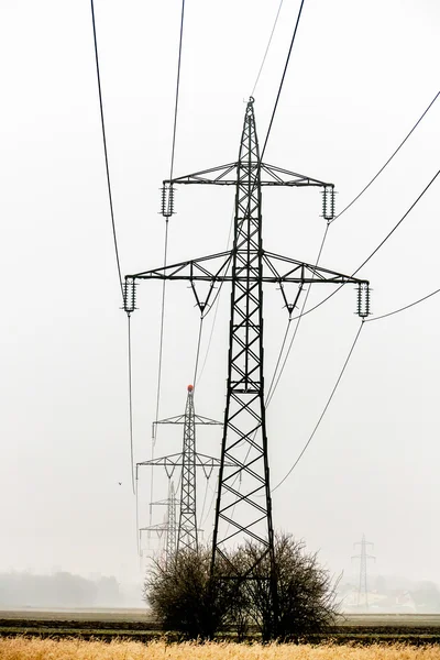 Power poles — Stock Photo, Image