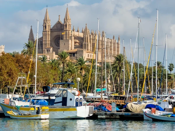 İspanya, mallorca, palma Katedrali'ne — Stok fotoğraf