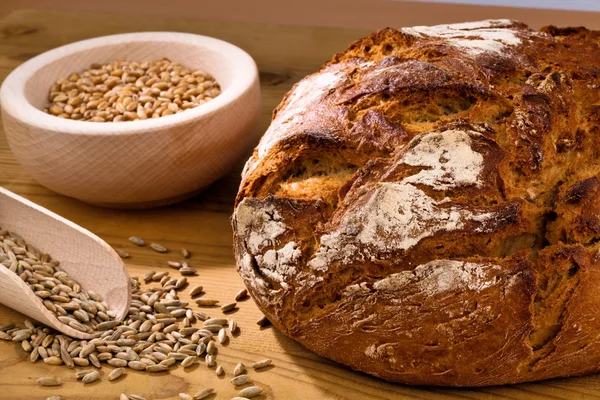 Fresh loaf — Stock Photo, Image