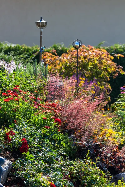 Beautiful garden — Stock Photo, Image