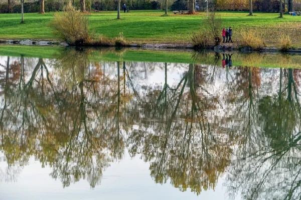 Bäume spiegeln sich im Wasser — Stockfoto