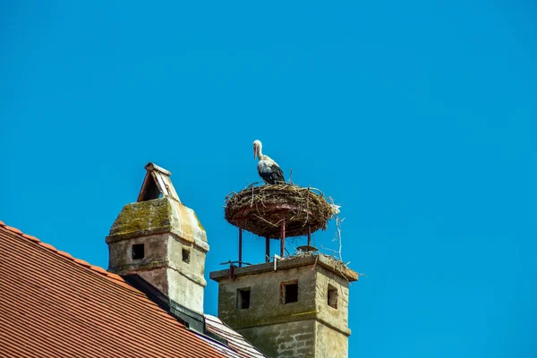 Österreich, Rost. Nest eines Storchs — Stockfoto