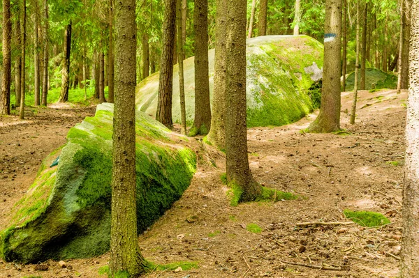 Alt avusturya, Kautzen, akrep yer — Stok fotoğraf