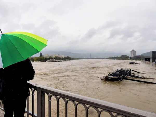 Hochwasser 2013 linz, Österreich — Stockfoto