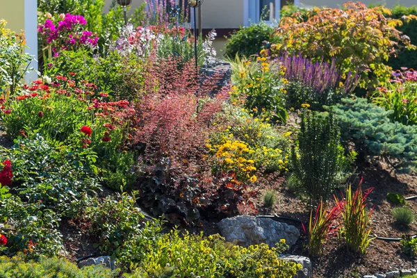 Beautiful garden — Stock Photo, Image