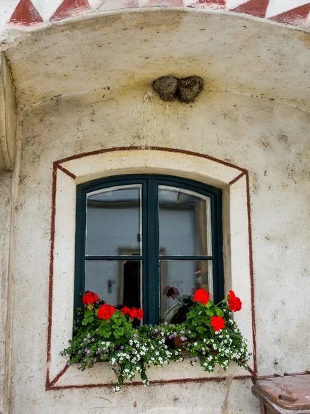 Janela com flores — Fotografia de Stock