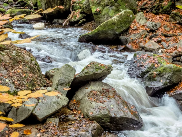 Arroyo con agua corriente — Foto de Stock