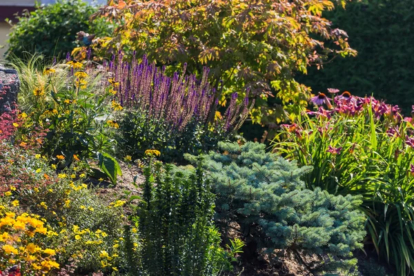 Piękny ogród — Zdjęcie stockowe