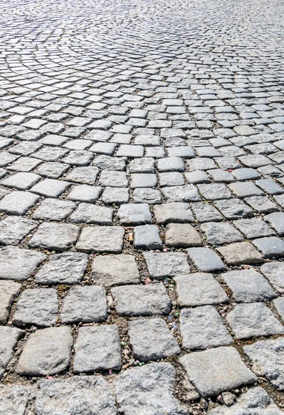 Pavers in pedestrian — Stock Photo, Image