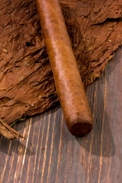 Cigars and tobacco leaves — Stock Photo, Image