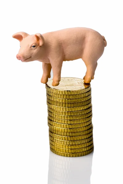 Pig on stack of coins — Stock Photo, Image