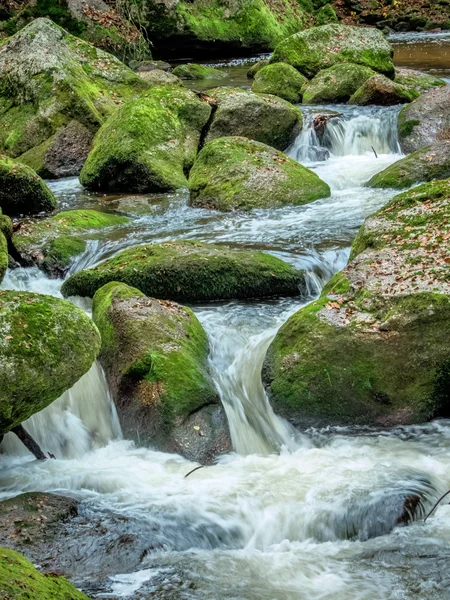 Creek with running water — Stock fotografie