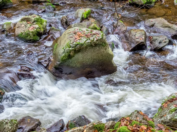 Riacho com água corrente — Fotografia de Stock