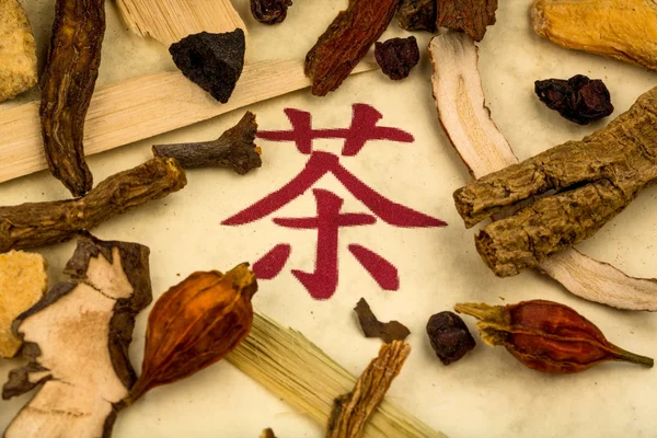 Té de la medicina tradicional china — Foto de Stock