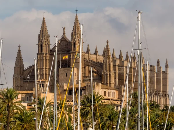 Spain, mallorca, palma cathedral — Stock Photo, Image