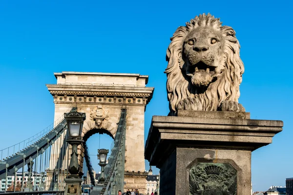 Ungarisch, budapest, kettenbrücke — Stockfoto