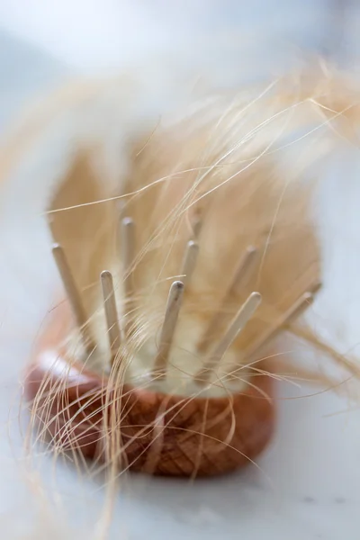 Hair brush with hair — Stock Photo, Image